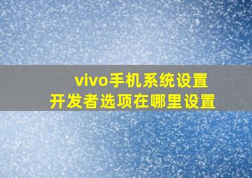 vivo手机系统设置开发者选项在哪里设置