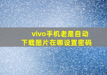 vivo手机老是自动下载图片在哪设置密码