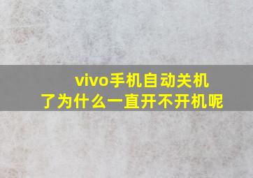 vivo手机自动关机了为什么一直开不开机呢