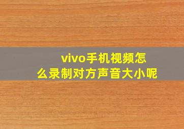 vivo手机视频怎么录制对方声音大小呢