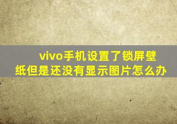 vivo手机设置了锁屏壁纸但是还没有显示图片怎么办