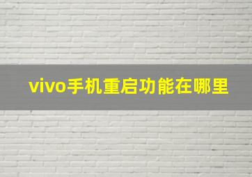 vivo手机重启功能在哪里