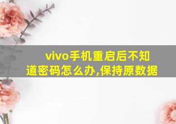 vivo手机重启后不知道密码怎么办,保持原数据