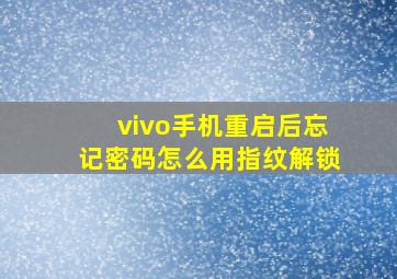 vivo手机重启后忘记密码怎么用指纹解锁