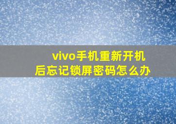 vivo手机重新开机后忘记锁屏密码怎么办