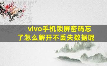 vivo手机锁屏密码忘了怎么解开不丢失数据呢