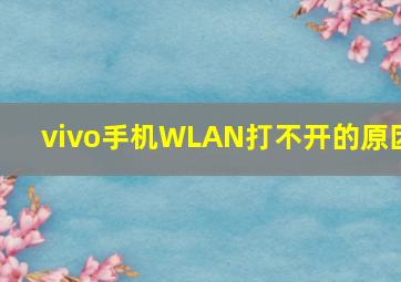 vivo手机WLAN打不开的原因