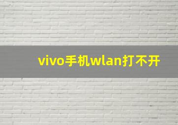 vivo手机wlan打不开