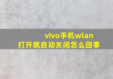 vivo手机wlan打开就自动关闭怎么回事