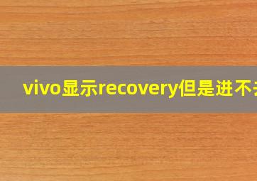 vivo显示recovery但是进不去