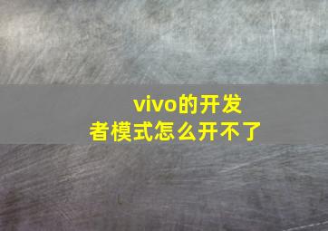 vivo的开发者模式怎么开不了