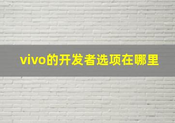 vivo的开发者选项在哪里