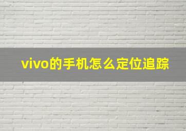 vivo的手机怎么定位追踪