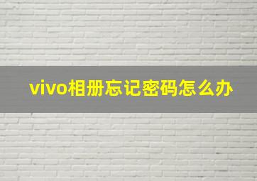 vivo相册忘记密码怎么办