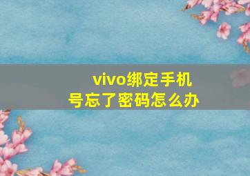 vivo绑定手机号忘了密码怎么办