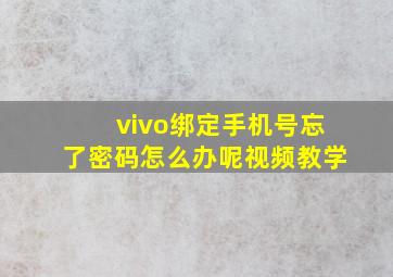 vivo绑定手机号忘了密码怎么办呢视频教学