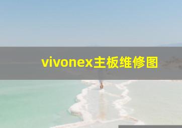 vivonex主板维修图