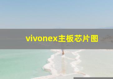 vivonex主板芯片图