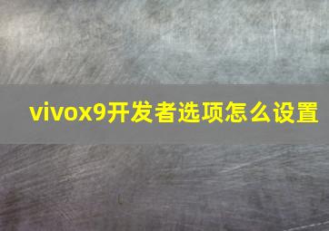 vivox9开发者选项怎么设置