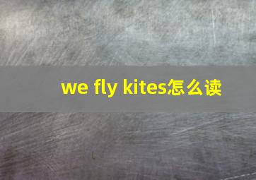 we fly kites怎么读