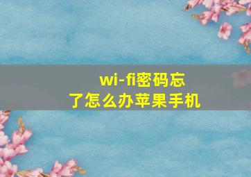 wi-fi密码忘了怎么办苹果手机