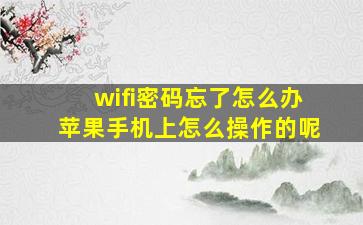 wifi密码忘了怎么办苹果手机上怎么操作的呢