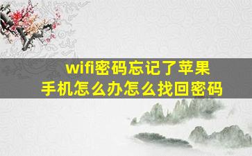 wifi密码忘记了苹果手机怎么办怎么找回密码