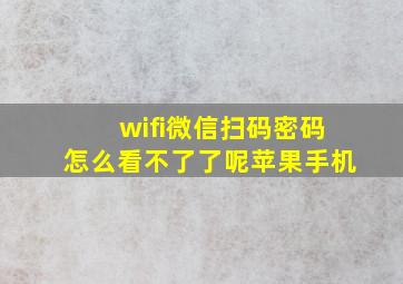 wifi微信扫码密码怎么看不了了呢苹果手机