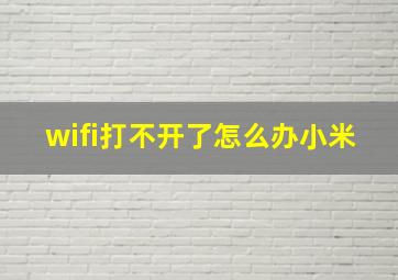 wifi打不开了怎么办小米