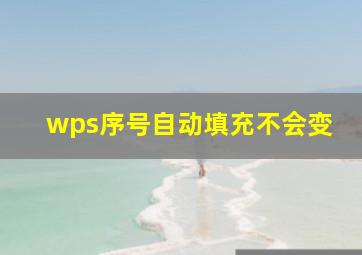 wps序号自动填充不会变