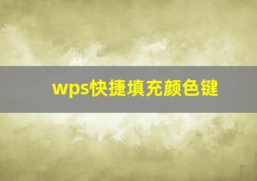 wps快捷填充颜色键