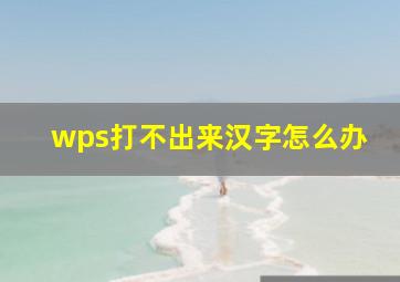 wps打不出来汉字怎么办