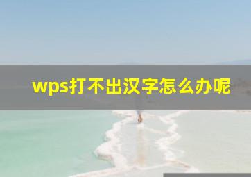 wps打不出汉字怎么办呢