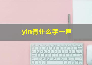 yin有什么字一声